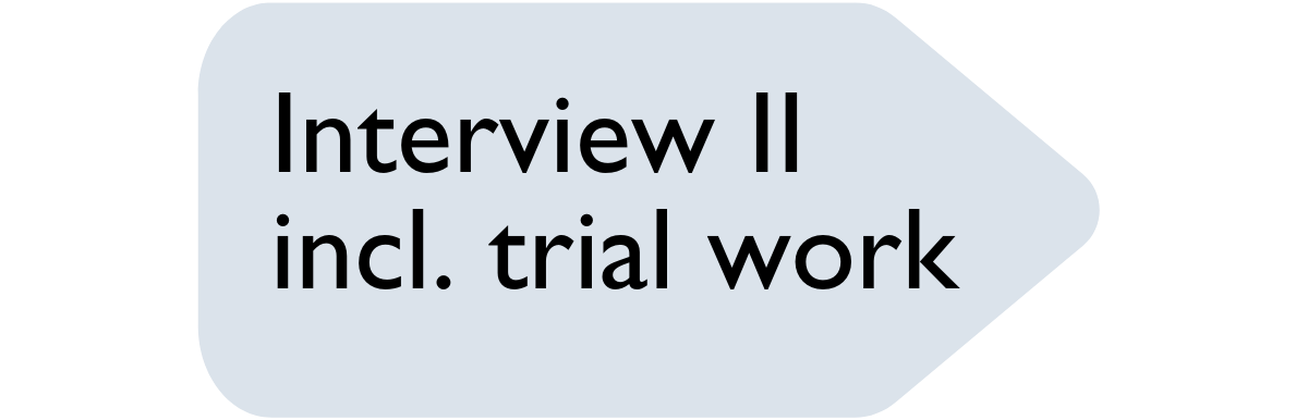 Application process graphic – interview II