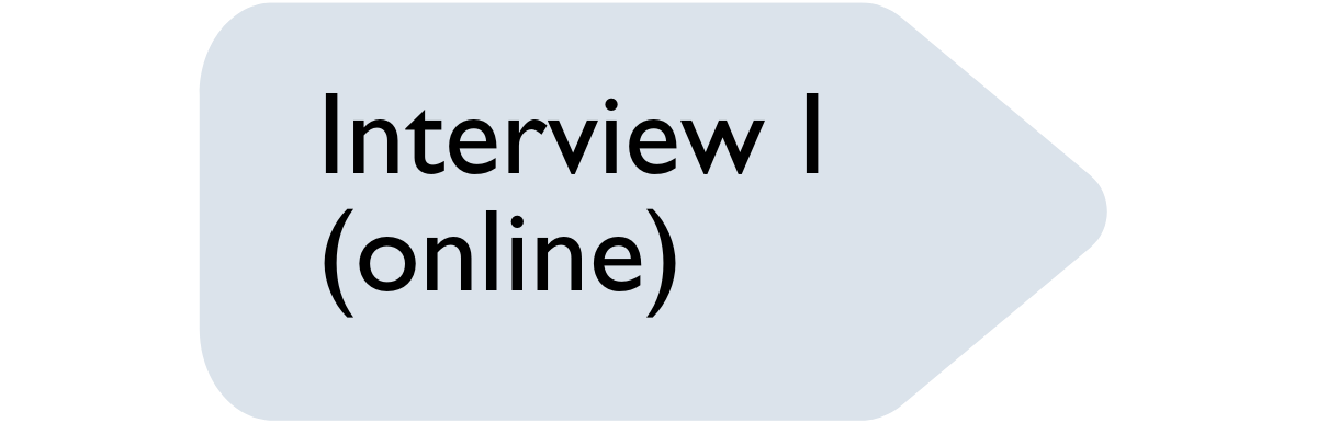 Application process graphic – interview online
