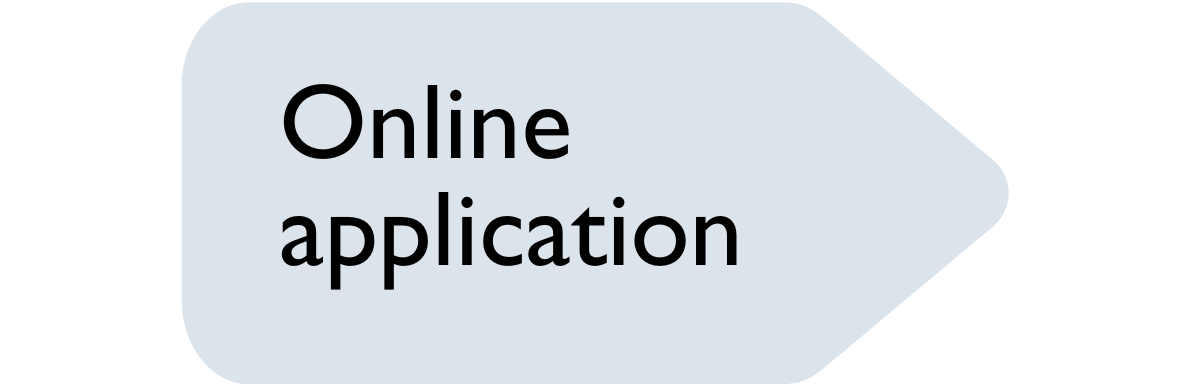 Application process graphic – online application